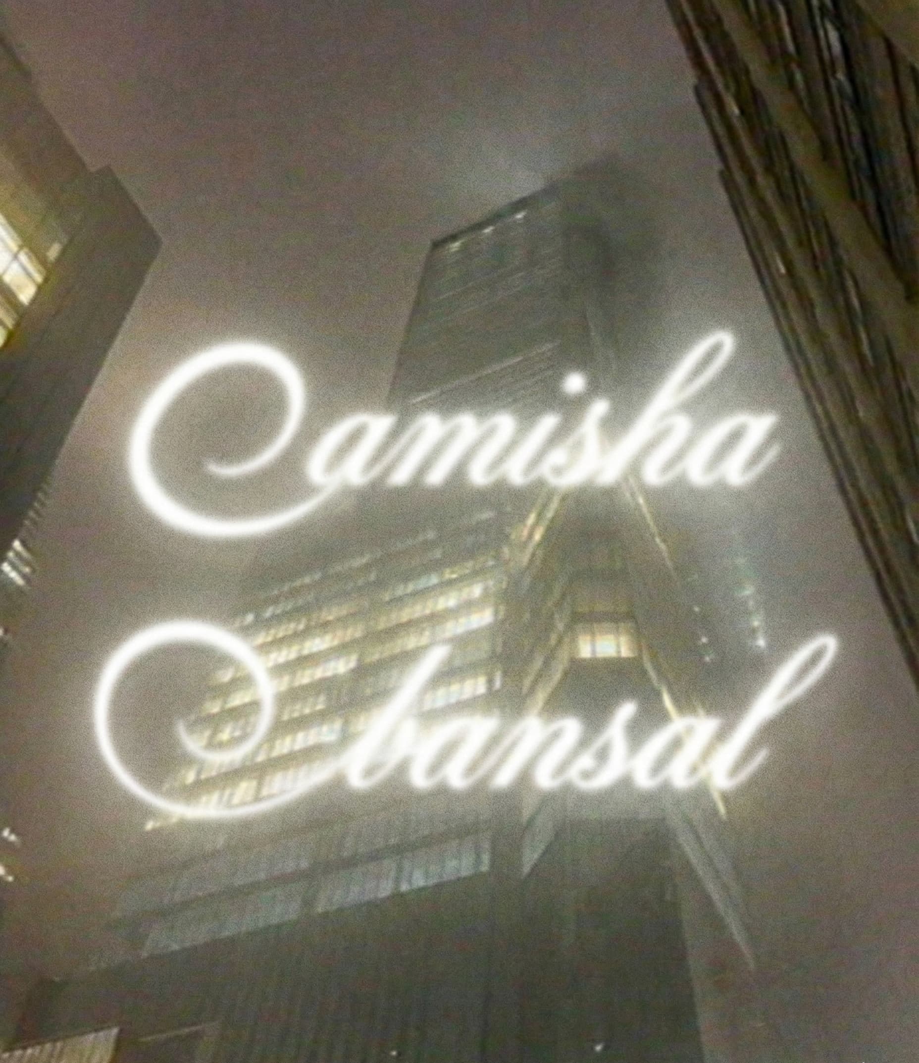 Amisha Bansal digital art design 2024 - abstract artwork by USC Viterbi computer science student Los Angeles NYC software engineer portfolio