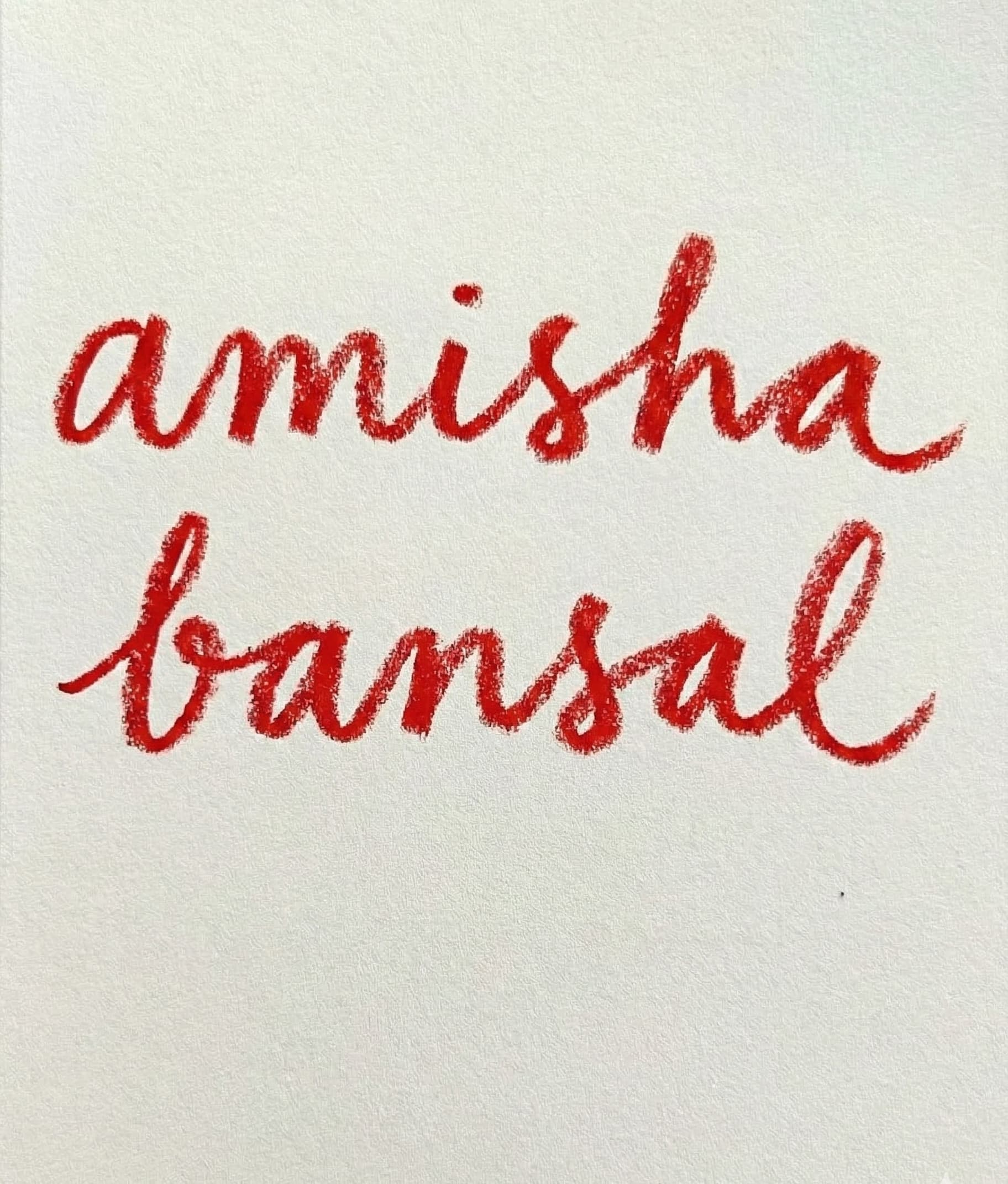 Amisha Bansal visual art 2024 - creative digital design USC Viterbi computer science student Los Angeles NYC software engineer