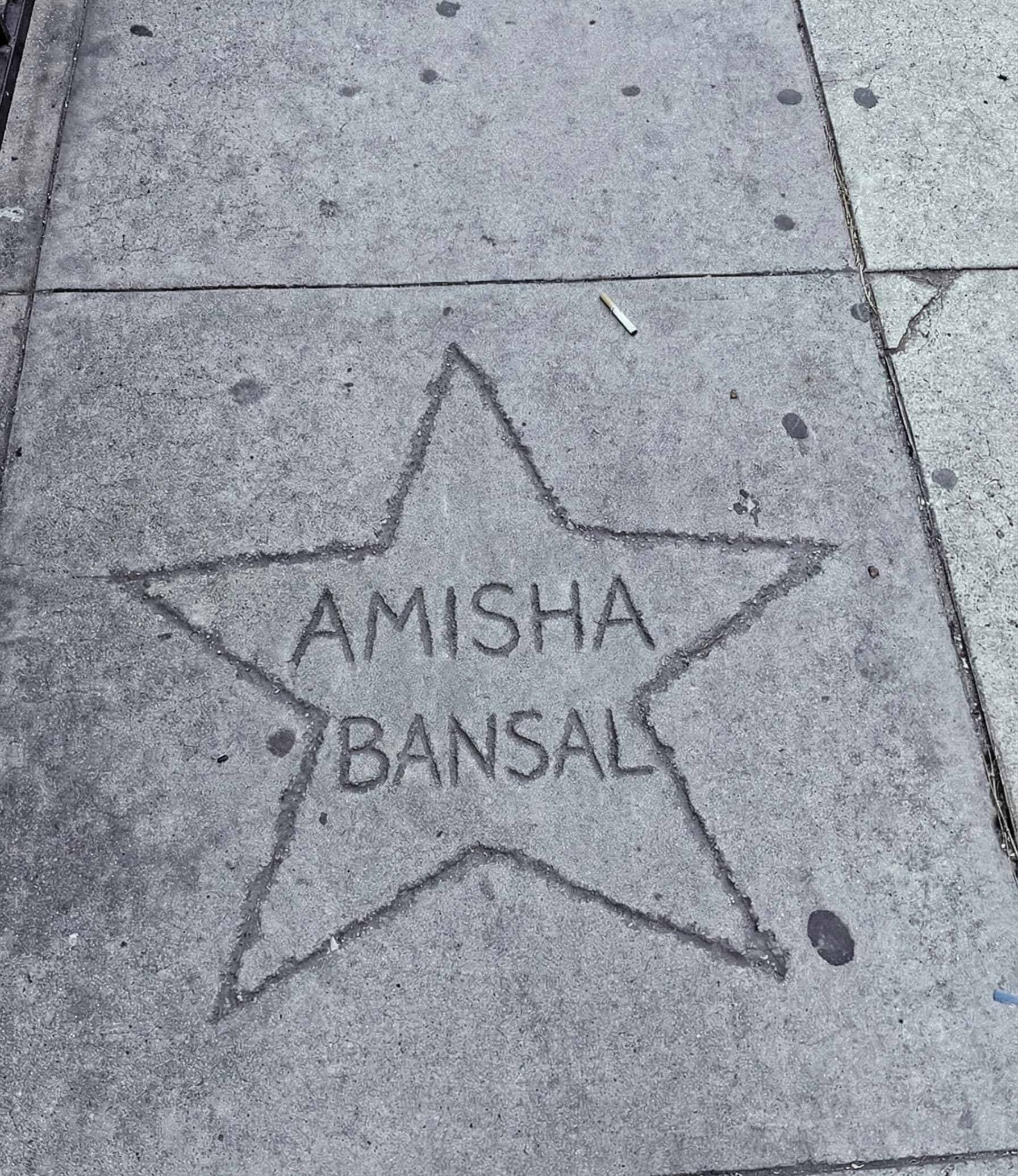 Amisha Bansal abstract art 2024 - modern design illustration USC comp sci student LA New York software engineer portfolio