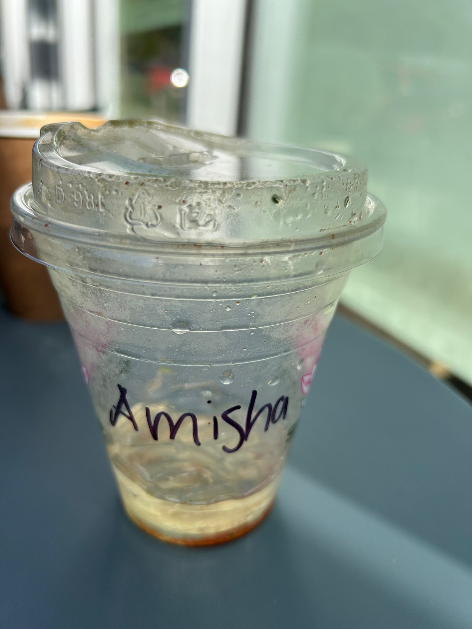 Amisha Bansal photography Los Angeles 2024 - USC Viterbi computer science student LA NYC software engineer portrait