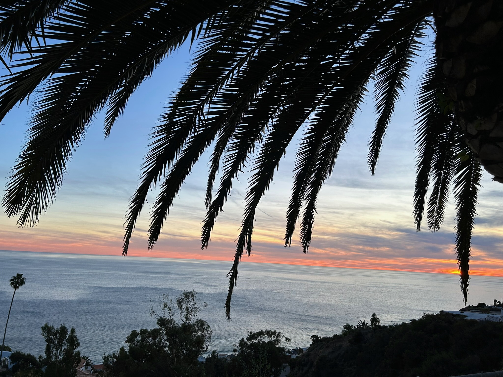 Amisha Bansal Los Angeles portrait photography 2024 - USC computer science student LA NYC software engineer