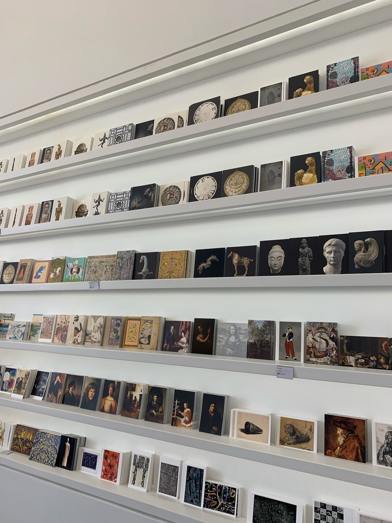 Amisha Bansal candid photography California 2024 - USC computer science student LA NYC software engineer Viterbi portrait