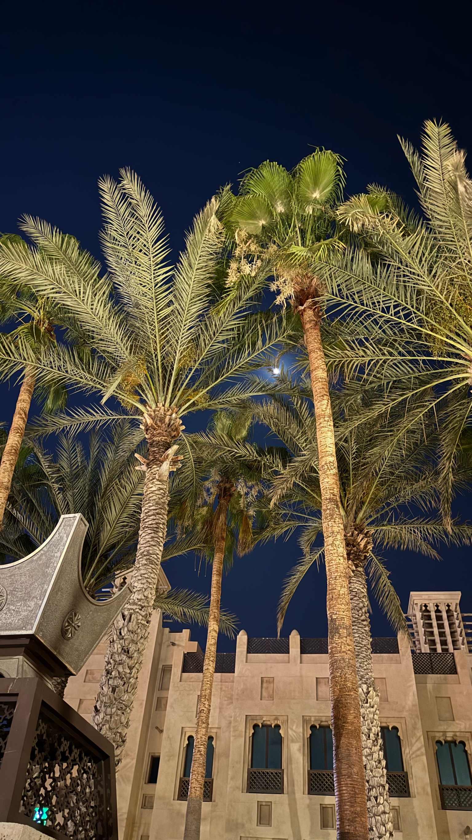 Amisha Bansal portrait session LA 2024 - USC Viterbi computer science student Los Angeles NYC software engineer photography