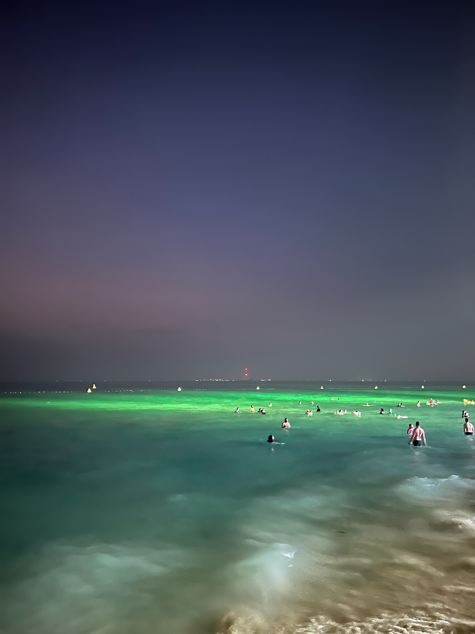 Amisha Bansal outdoor photography California 2024 - USC computer science student LA NYC software engineer Viterbi portrait