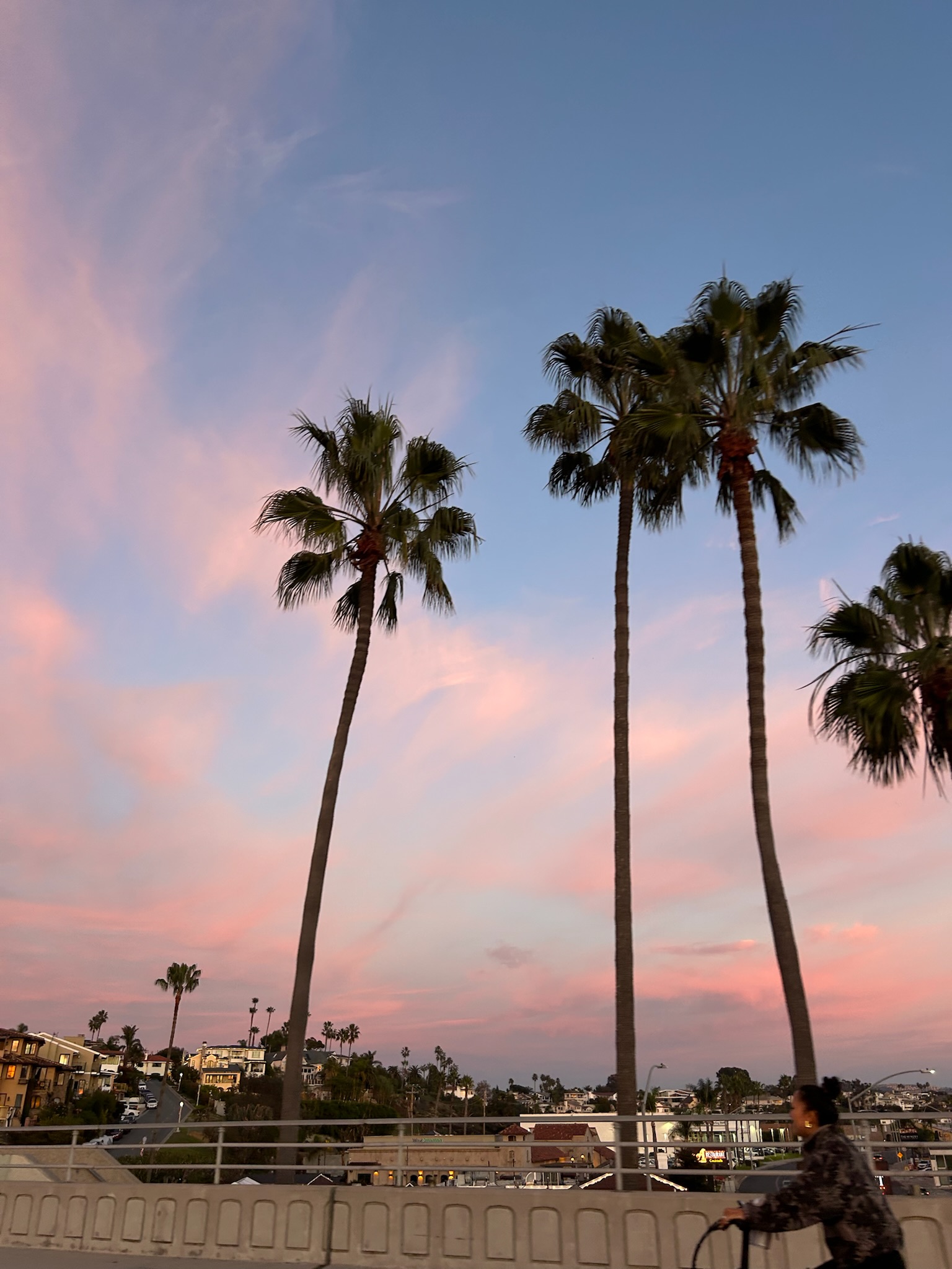 Amisha Bansal candid portrait USC student 2024 - computer science Viterbi LA NYC software engineer photography Los Angeles