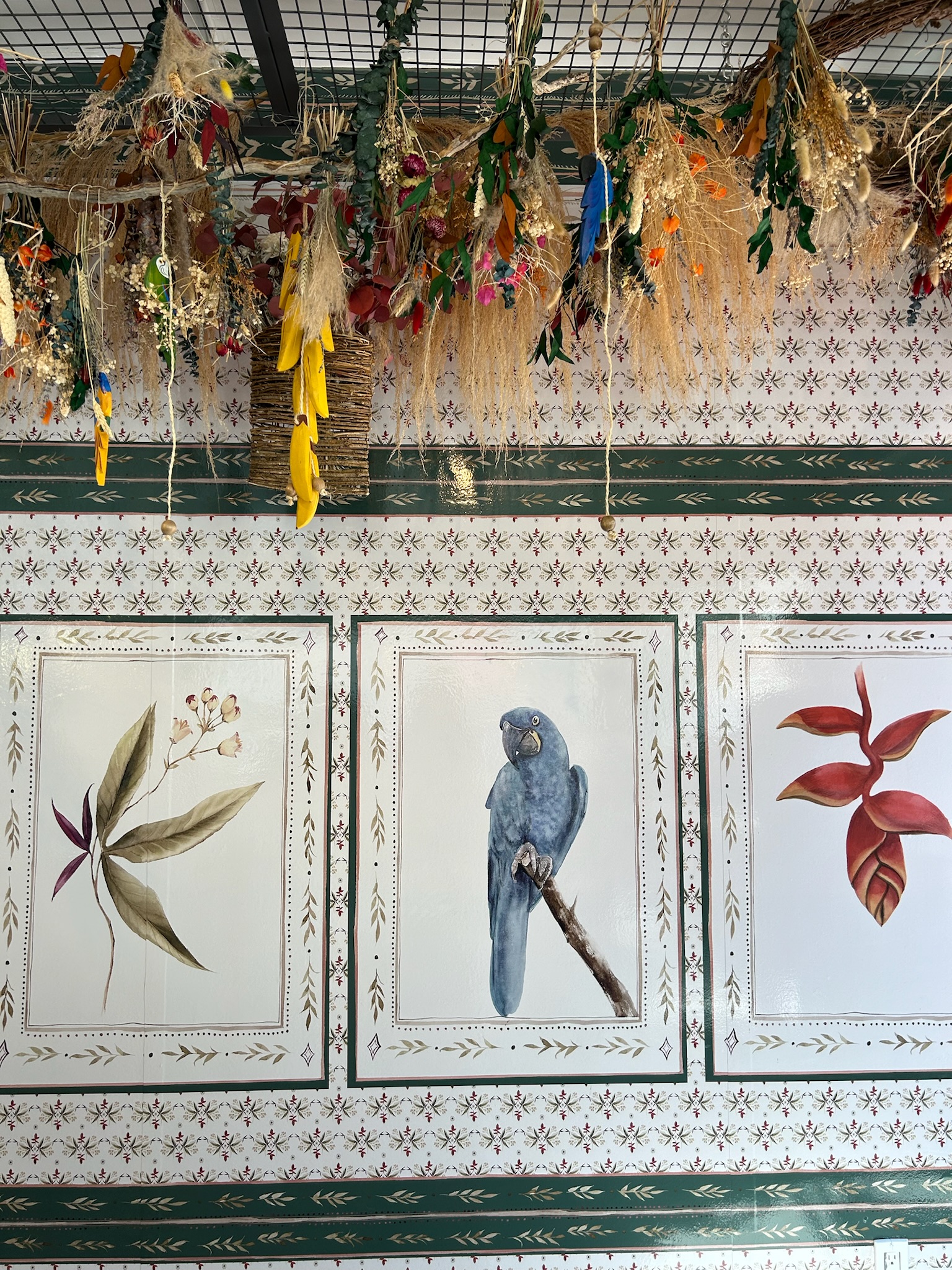 Amisha Bansal artistic portrait LA 2024 - USC Viterbi computer science student Los Angeles NYC software engineer photography