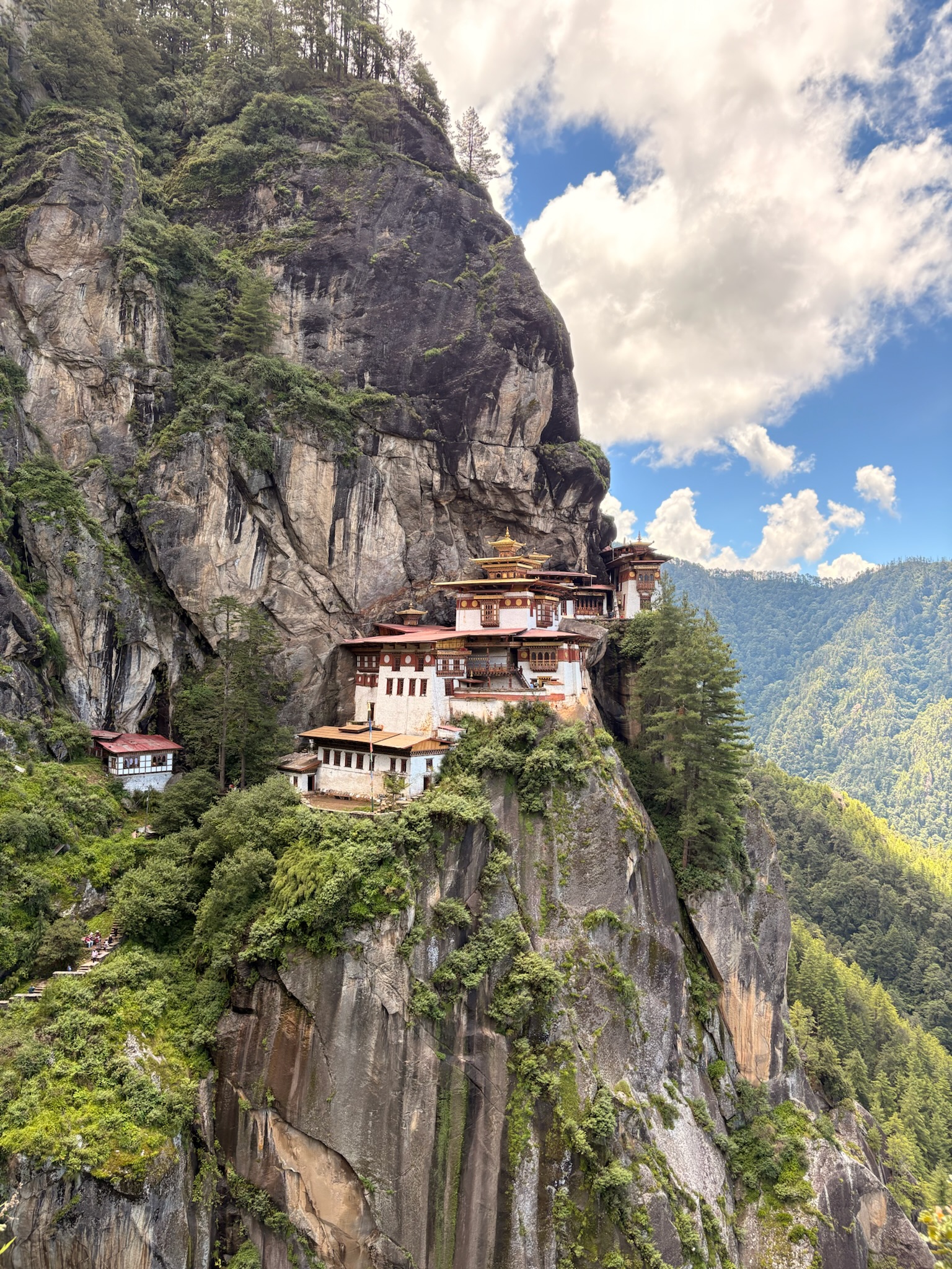 Amisha Bansal candid moment California 2024 - USC computer science student Viterbi LA NYC software engineer photography portrait
