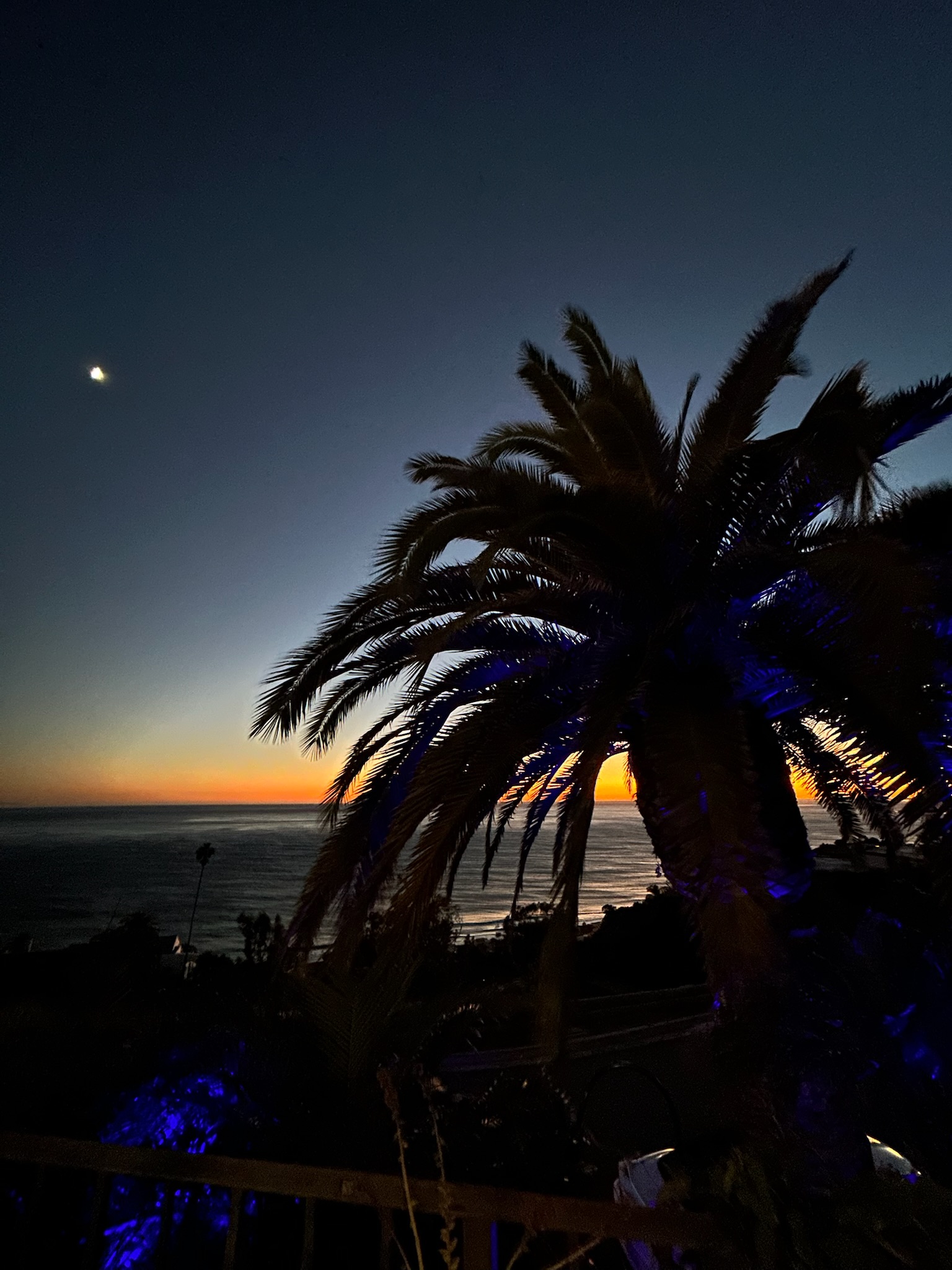 Amisha Bansal USC student portrait 2024 - computer science Viterbi Los Angeles NYC software engineer photography LA