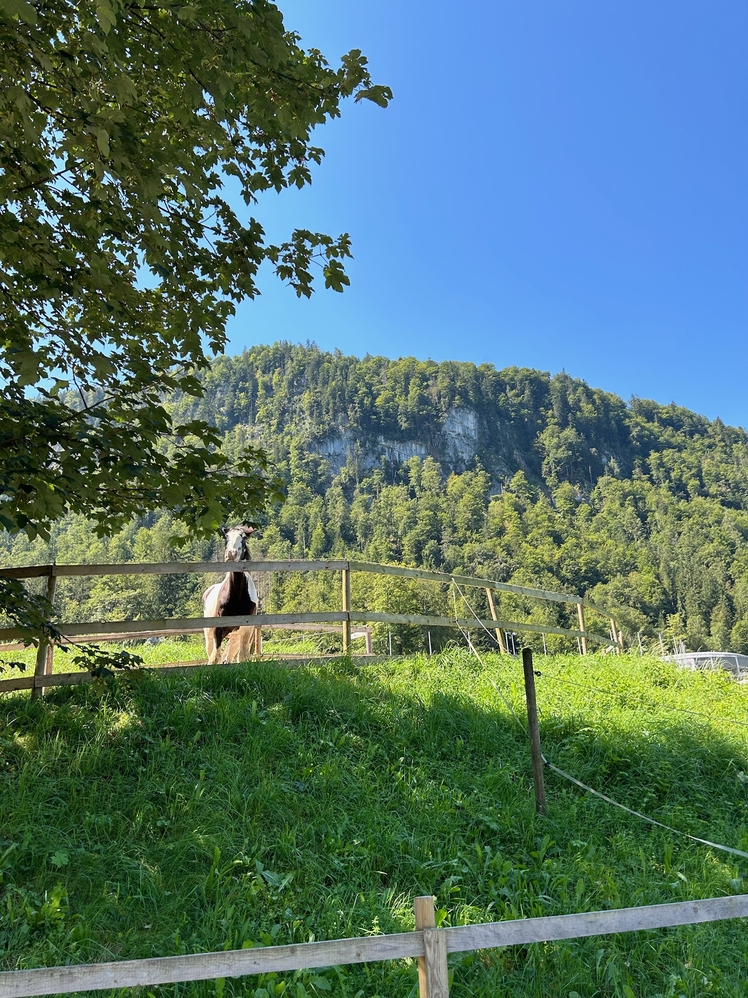 Amisha Bansal portrait USC portfolio 2024 - computer science Viterbi student LA NYC software engineer photography Los Angeles