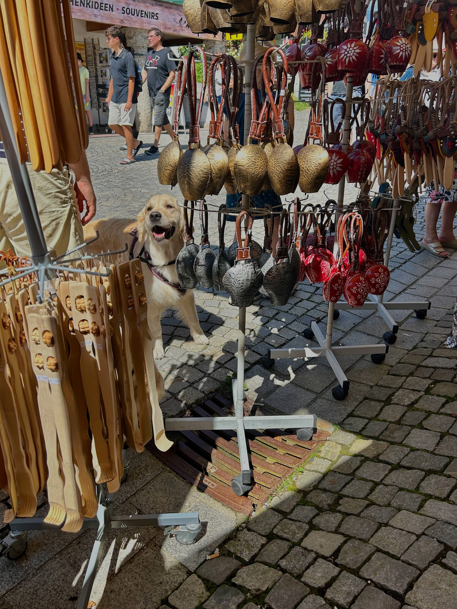 Amisha Bansal creative moment LA 2024 - USC Viterbi computer science student Los Angeles NYC software engineer photography