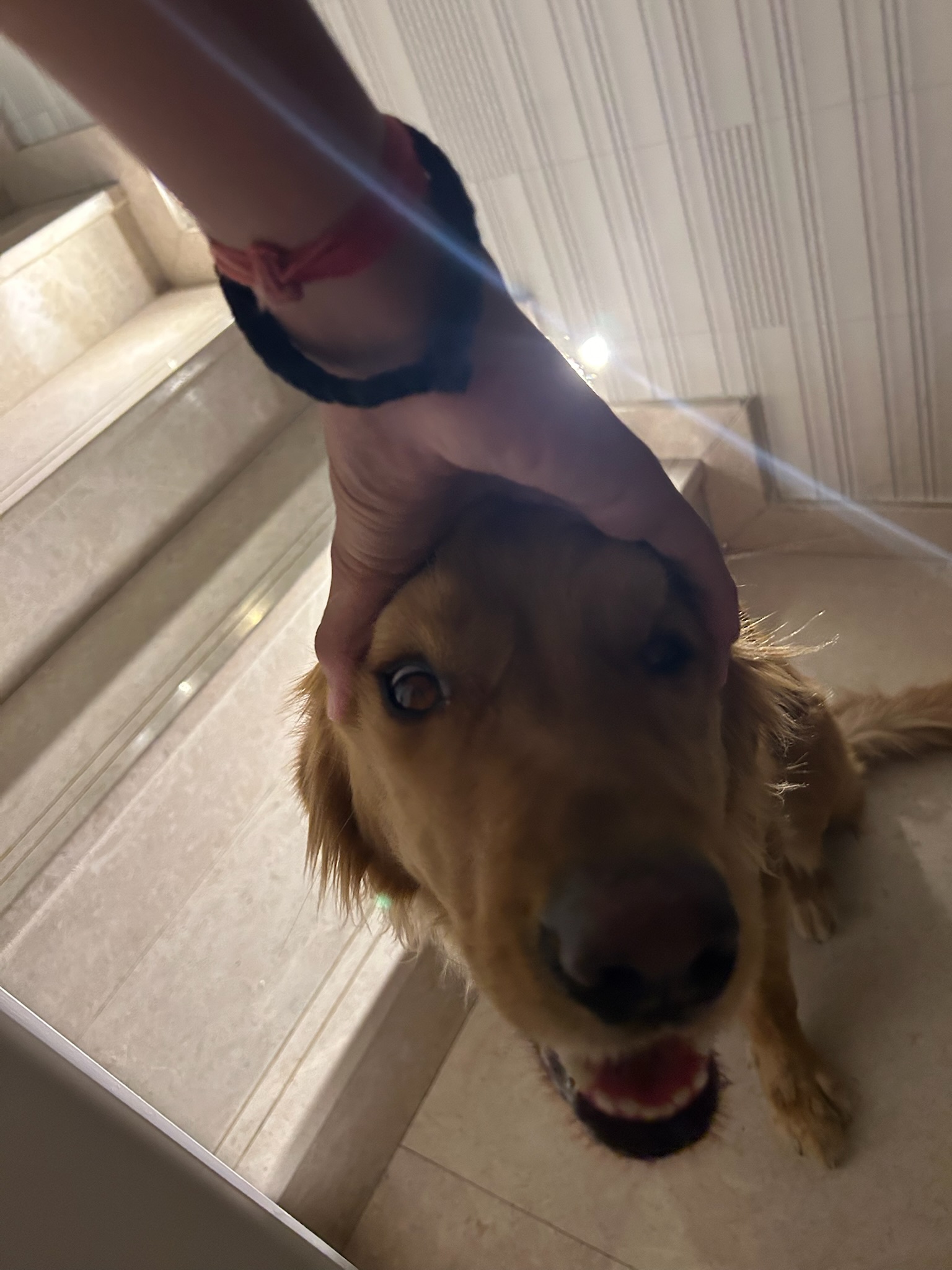 Amisha Bansal lifestyle visual California 2024 - USC computer science student Viterbi LA NYC software engineer photography portrait