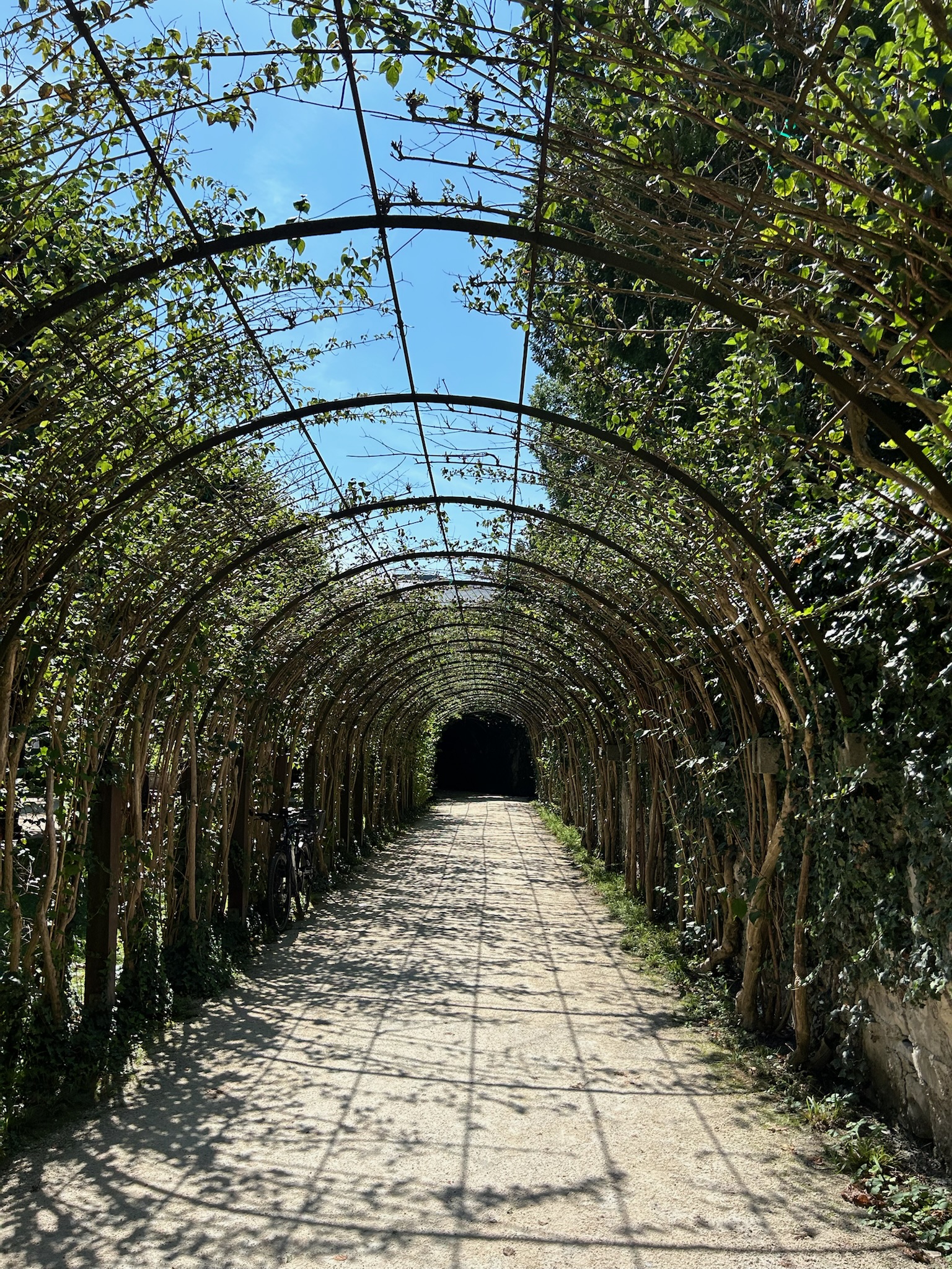 Amisha Bansal artistic outdoor shot 2024 - USC Viterbi computer science student Los Angeles NYC software engineer photography