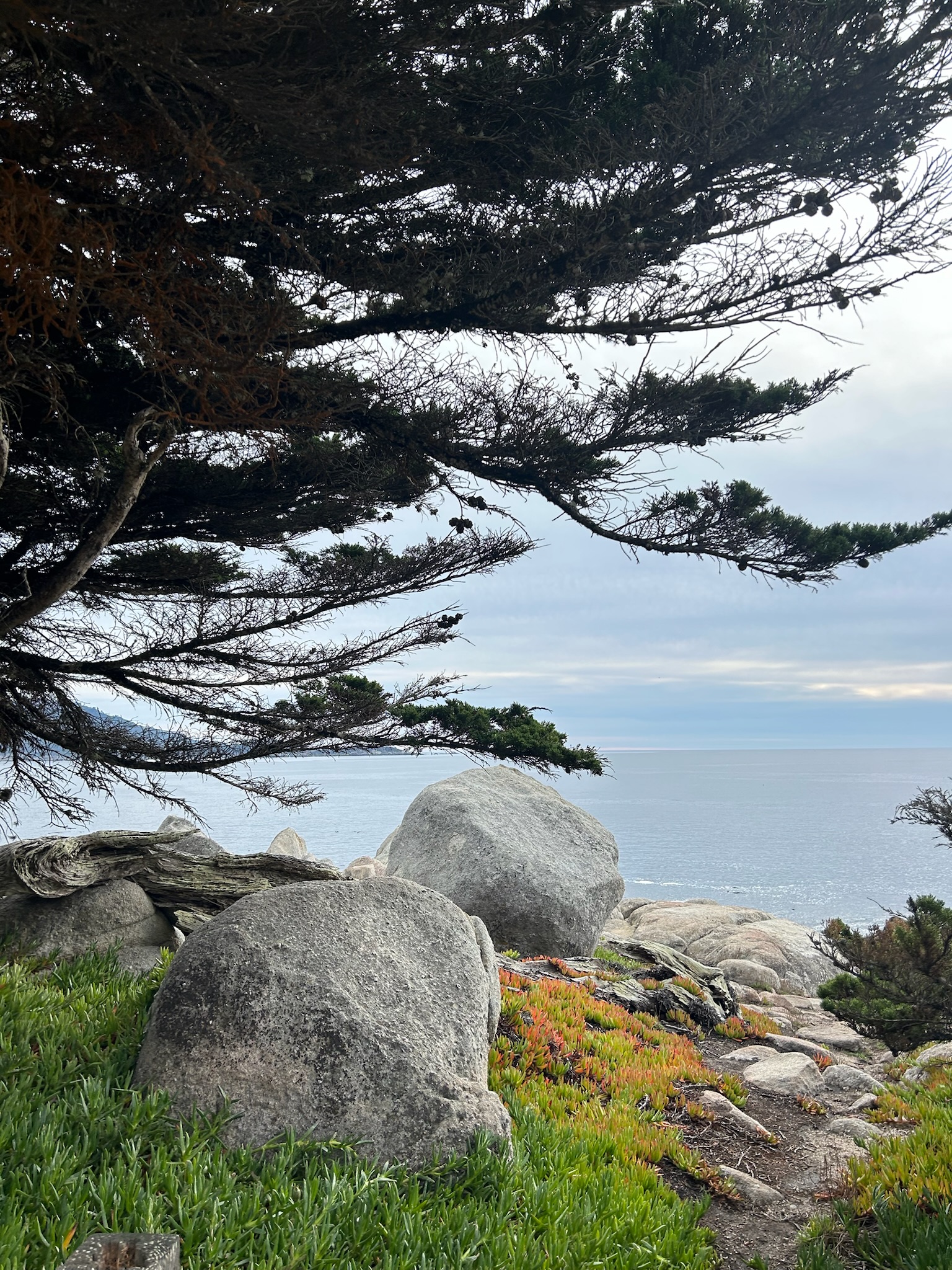 Amisha Bansal outdoor portrait California 2024 - USC Viterbi computer science student Los Angeles NYC software engineer photography