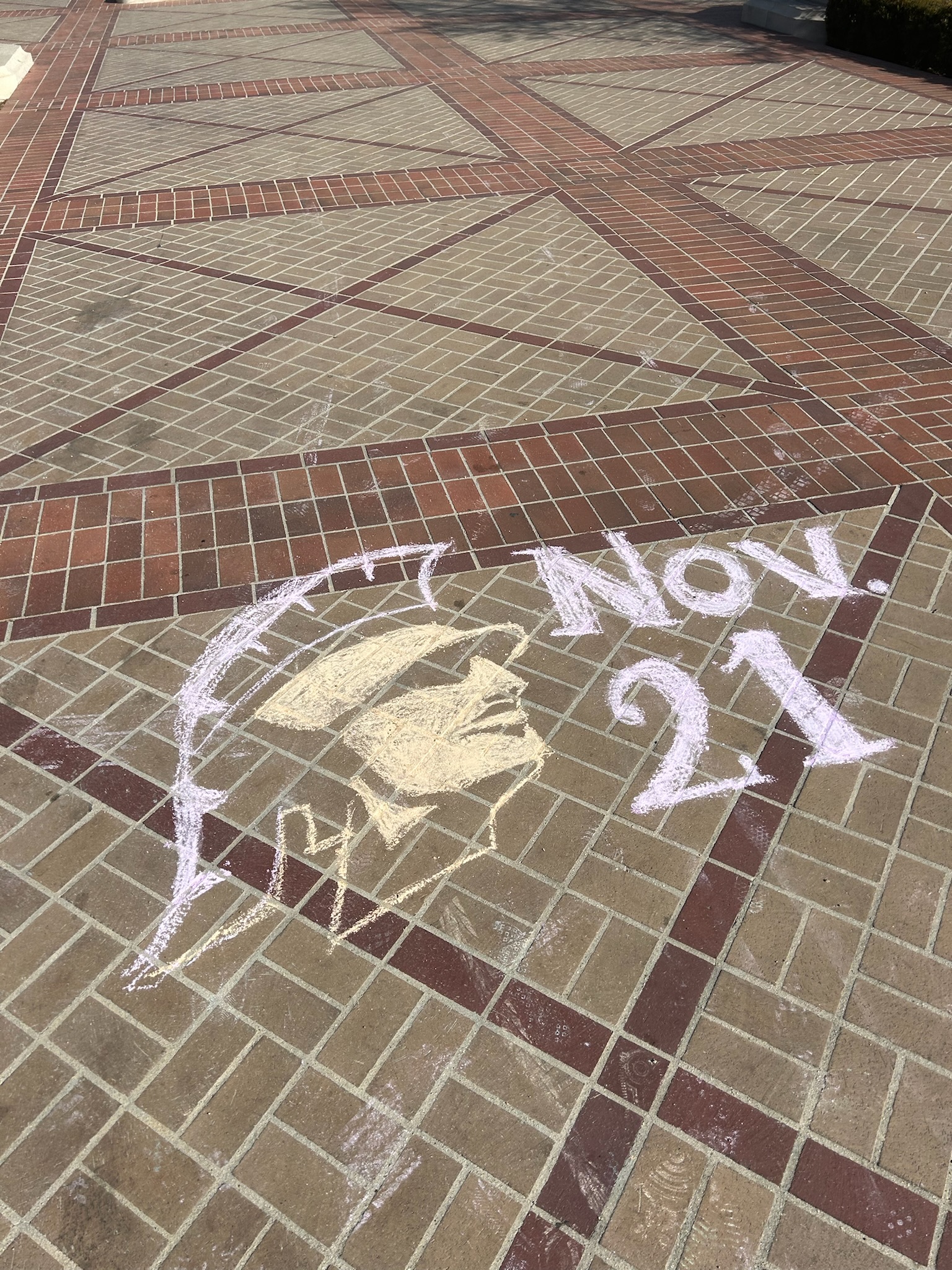 Amisha Bansal USC photography 2024 - Viterbi computer science student Los Angeles NYC software engineer portrait