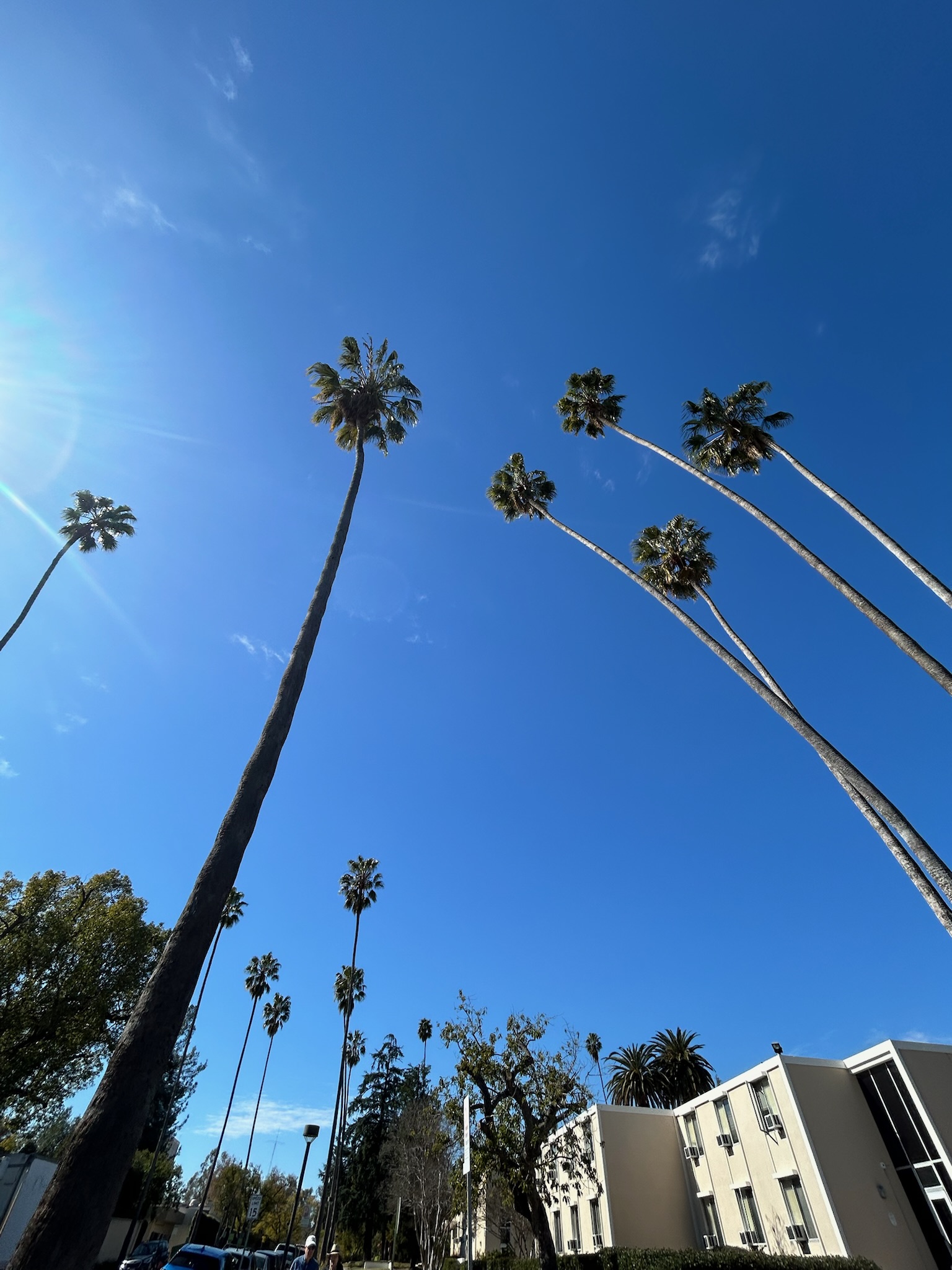 Amisha Bansal USC portrait photography 2024 - Viterbi computer science student LA NYC software engineer Los Angeles
